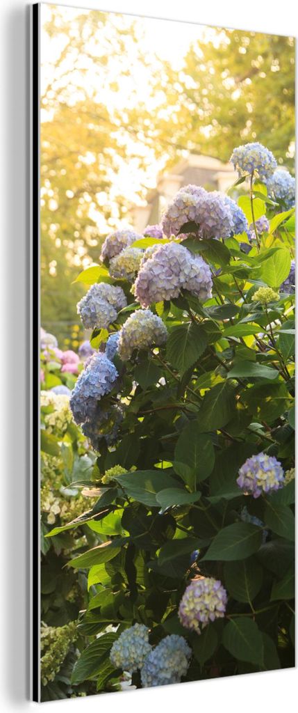 MuchoWow Wanddekoration Metall Metallbild Wandkunst 20x40 cm Gelbe Hortensien im Garten MuchoWow Aluminium Gemälde - Aluminium Gemäldes