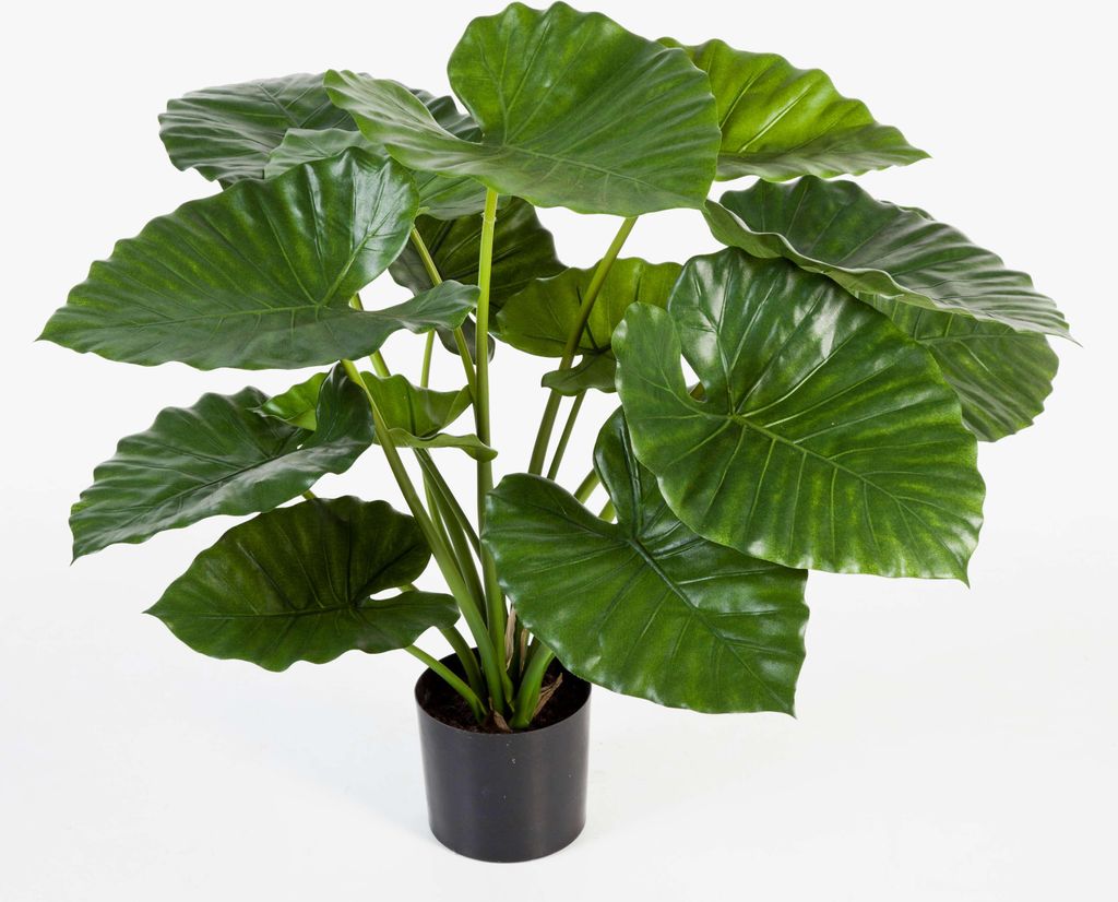 artplants.de Kunstpflanze Alocasia Calidora SALONI, 15 Blätter, grün, 75cm - Künstliche Zimmerpflanzen