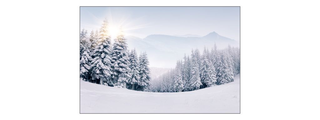 Muralo Fototapete Landschaft 315 (B) x 210 (H) cm Vlies Tapete Wandtapeten Gebirge Schnee Bäume Wohnzimmer Schlafzimmer moderne Wandbilder XXL Nat...