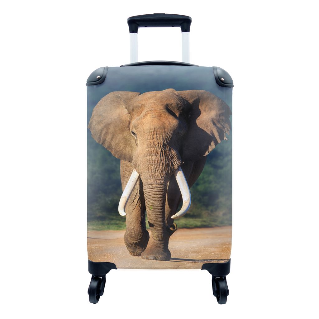 MuchoWow Koffer Handgepäck Trolley Rollkoffer Kleine Reisekoffer mit 4 Rollen - Elefant - Zähne - Natur - Cabin Size < 55x40x23 cm & 55x40x20 c...