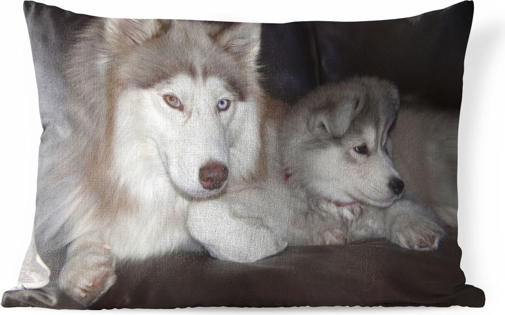 MuchoWow Outdoor Kissen - Großer Hund mit kleinem Welpen auf dem Sofa - 50x30 cm - Wetterfest - Lounge Kissen - Sofa kissen - Wohnzimmer Dekoration