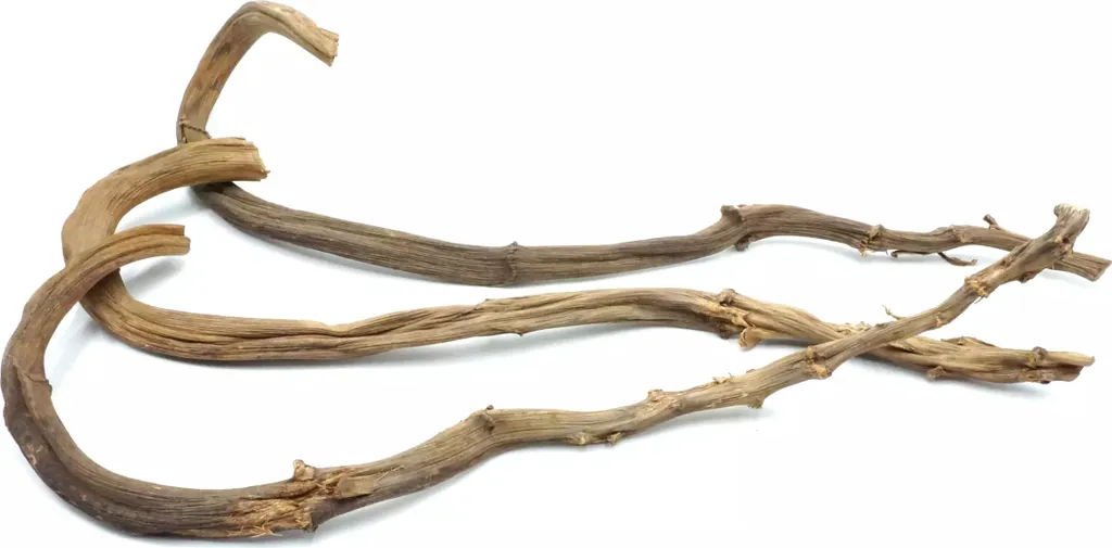 Liana di Banana Naturale 60-70cm | Accessorio Arrampicata Pappagalli