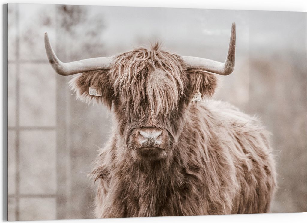 DEQORI Magnettafel Glas 60x40 cm 'Majestätische Stille' beschreibbar Whiteboard Küche