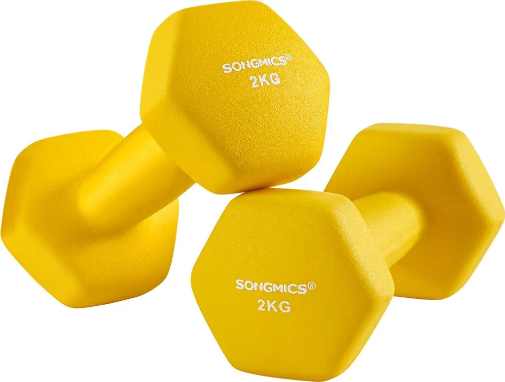 Ensemble d'haltères 2 x 2 kg en fonte pour musculation et fitness