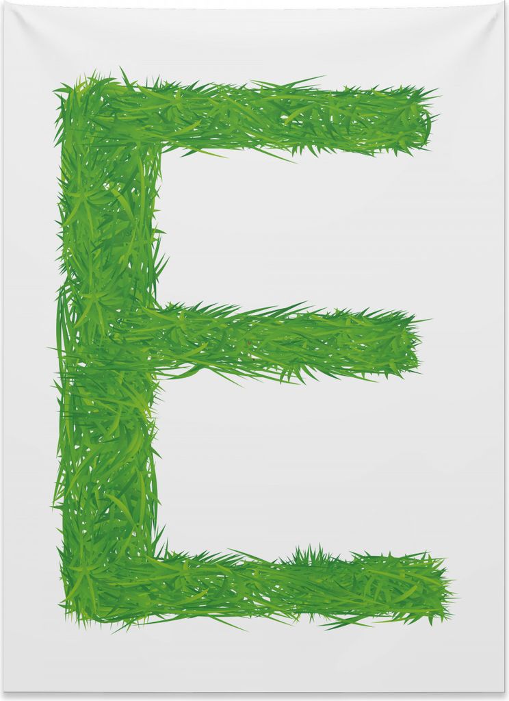Abakuhaus Buchstabe E Wandteppich, Waldland Großbuchstaben E aus Weiches Mikrofaser Stoff Kein Verblassen Klare Farben Waschbar, 110 x 150 cm, Meh...