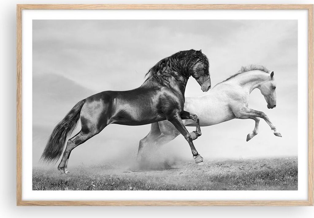 Gerahmtes Poster - Rahmen in heller Eiche - Pferde Tiere Galopp Wiese - 91,5x61 cm - Wand Bild - Wanddeko - Wandbilder - Wandposter - Bilderrahmen ...