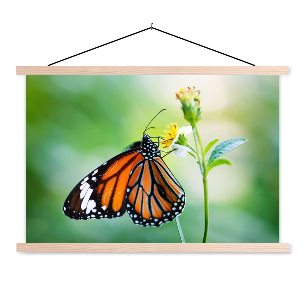 MuchoWow Textilposter Schmetterling - Blumen - Insekten 60x40 cm mit holzfarbenen Rahmen - Bilder