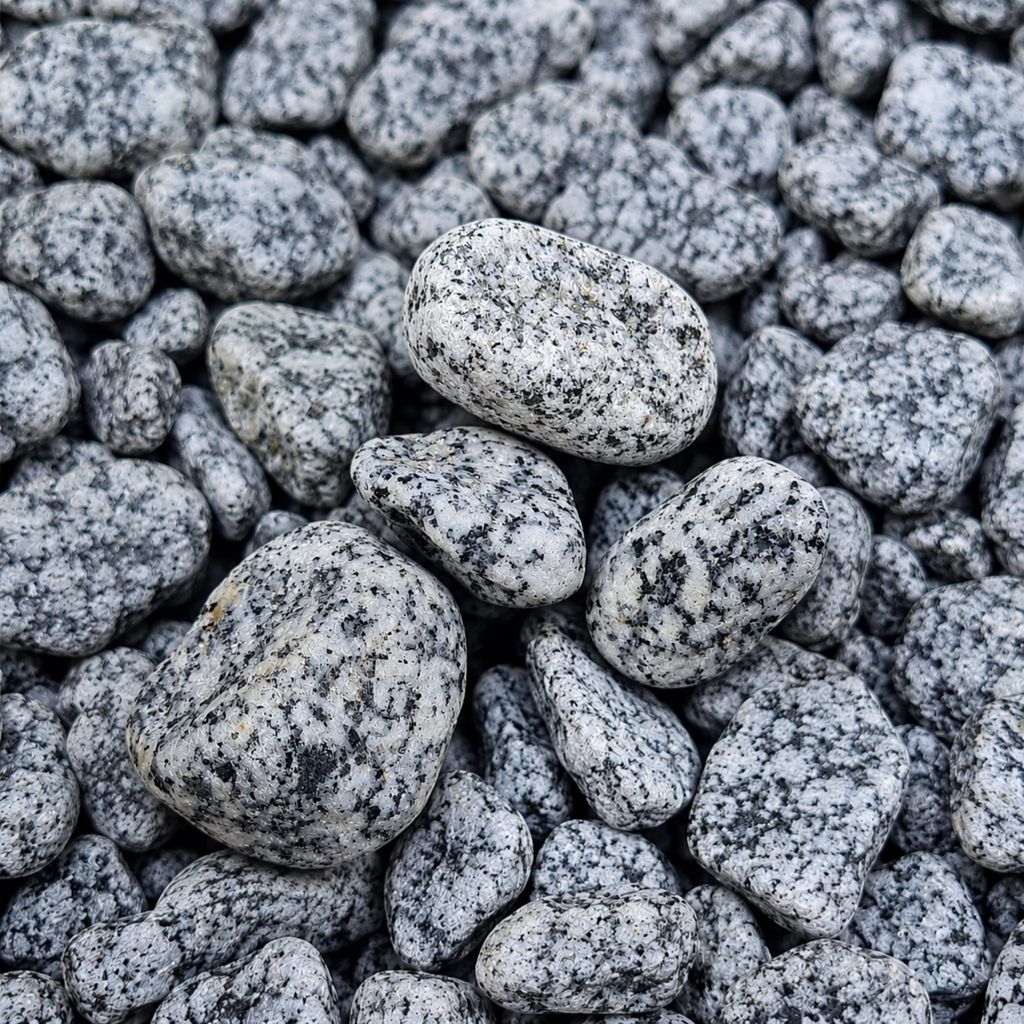 Dalmatiner-Zierkieselsteine (gepunkteter Granitkies) dicht aneinander liegend im Detail