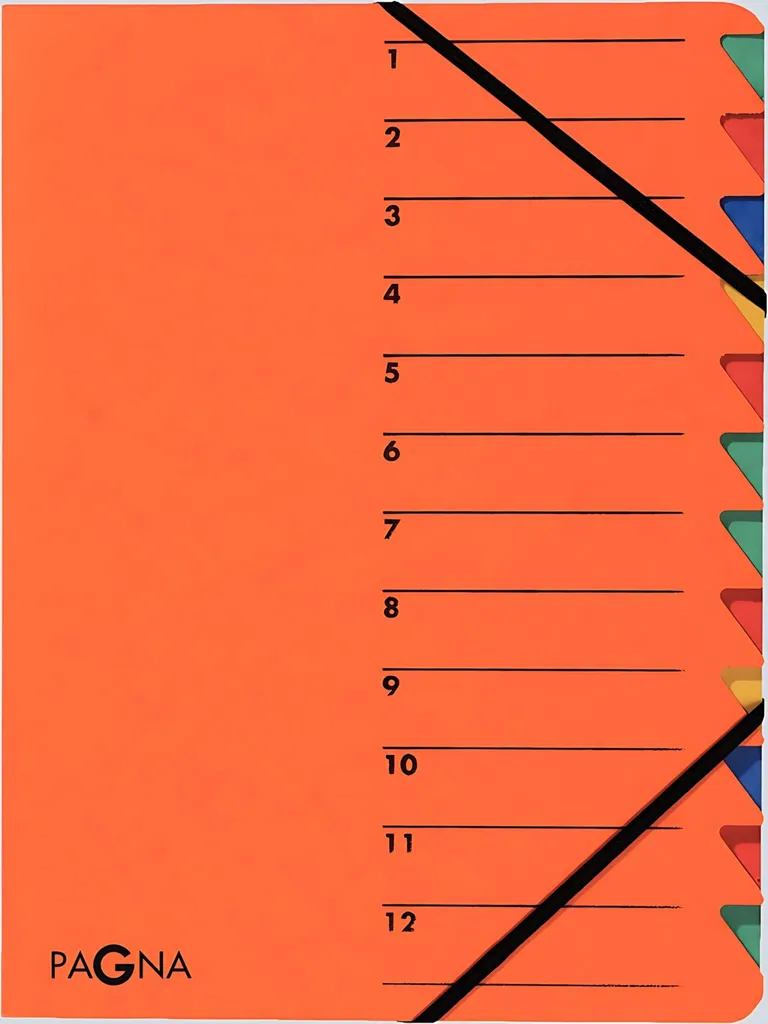 Organiseur de factures A4 PAGNA EASY avec 12 onglets de tri bureau