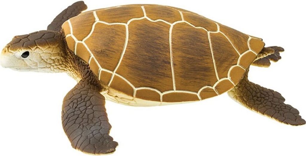 Safari Ltd Green Sea Turtle Brown One Size