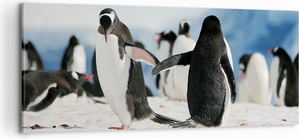 Bild auf Leinwand - Leinwandbild - Pinguine Winter Natur Schnee - 120x50cm - Wand Bild - Wanddeko - Leinwanddruck - Bilder - Kunstdruck - Wanddekor...