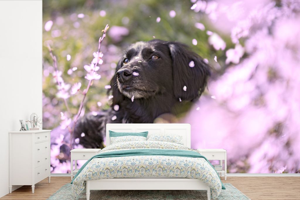 MuchoWow Fototapete für Wohnzimmer oder Schlafzimmer Wandtapete Vinyl Motivtapete Hund - Blumen - Haustier - 390x260 cm - Papiertapete