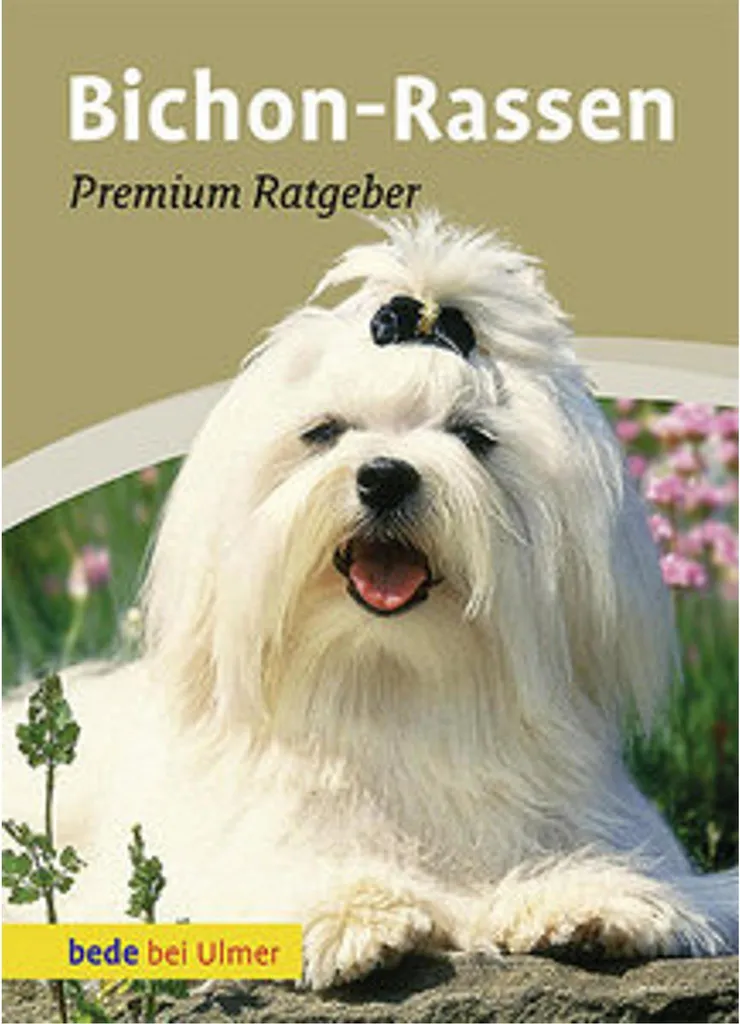 Bichon-Rassen : Guide de Soins et Standards de Pureté pour Bichons