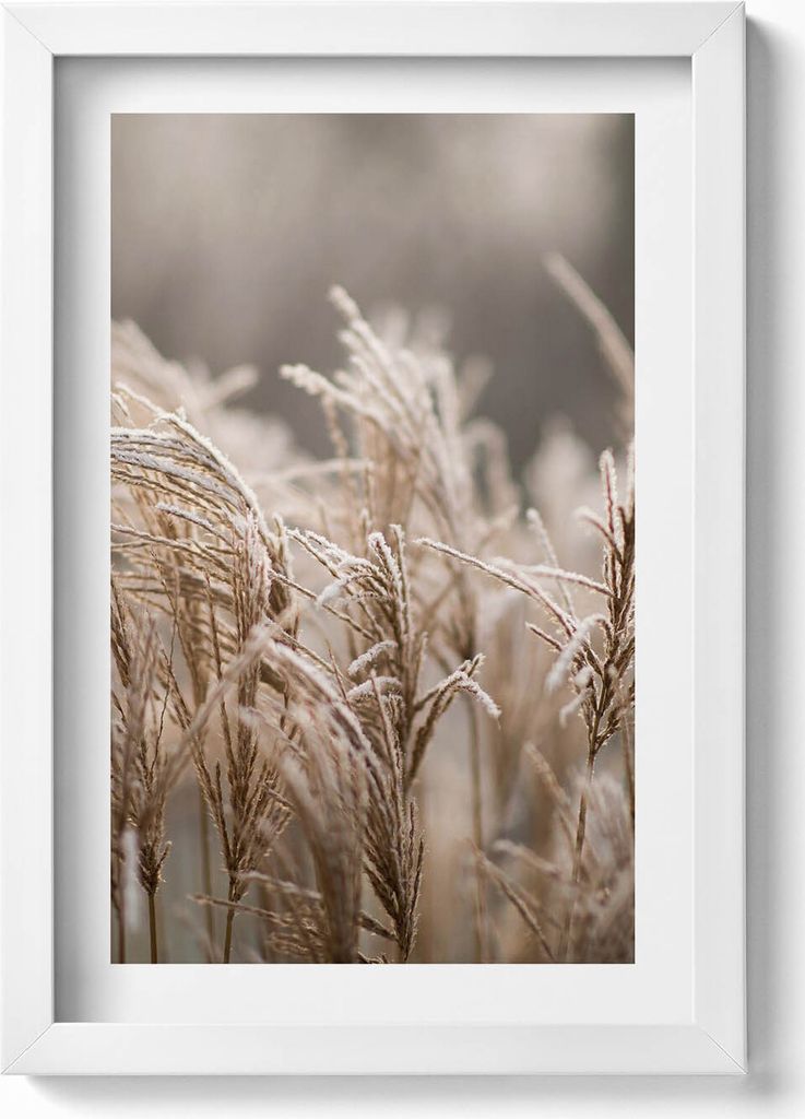 Zarte Gräser im Boho-Stil– Wandbild mit Rahmen – Gerahmtes Bild – Wanddekoration – 20x30 cm – Weiß