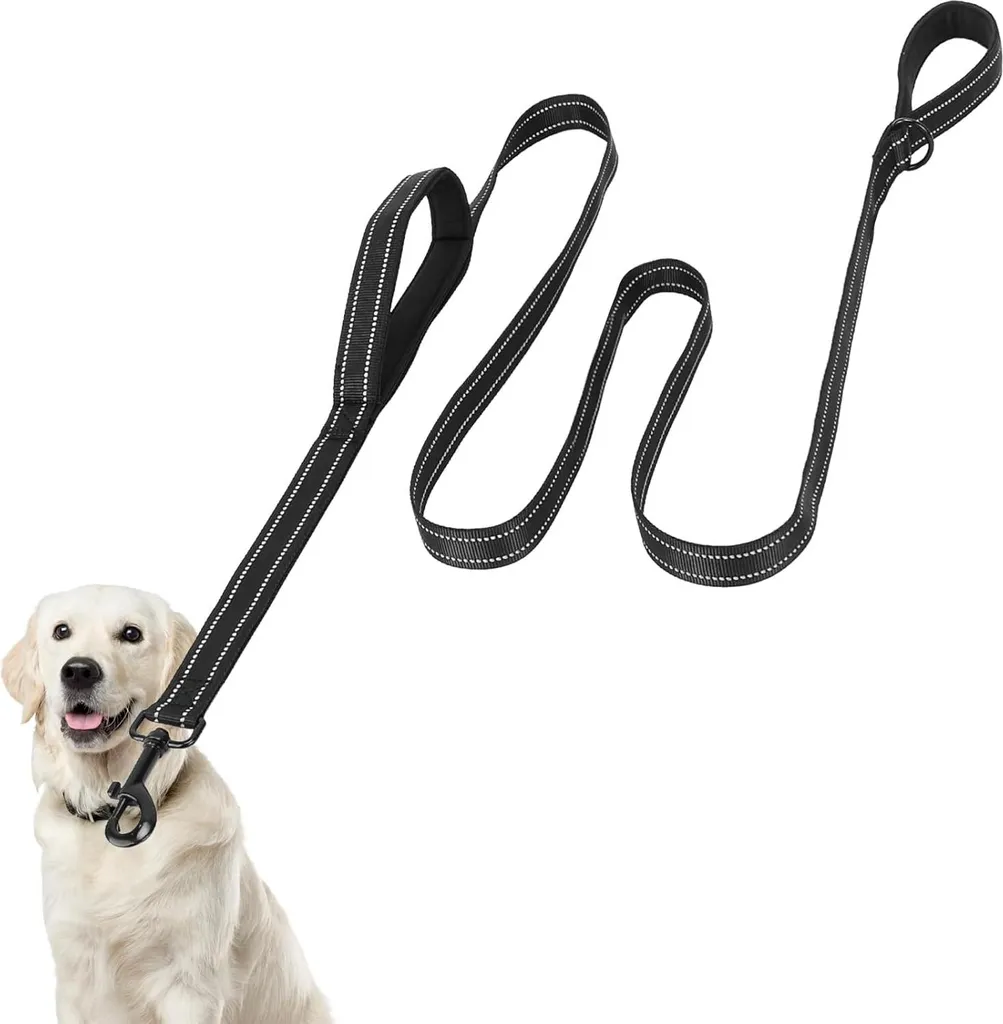 Laisse chien 2m nylon noir poignées rembourrées pour grand chien