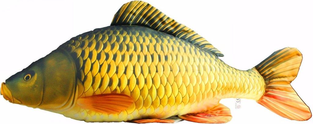A plush toy fish on a white background.