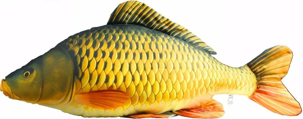 Coussin de Sol Poisson Carpe 100cm - Grand Traversin Peluche pour Dormir