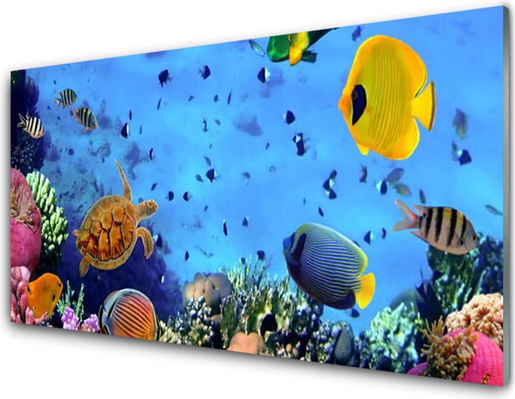 Acrylglasbilder 100x50 Wandbild Druck Korallenriff Unterwasser Fische Natur