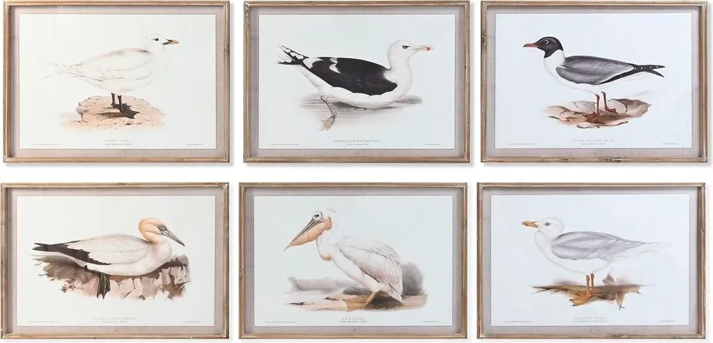 Set de 6 Tableaux Oiseaux pour Salon et Chambre - Format Large 70x50 cm
