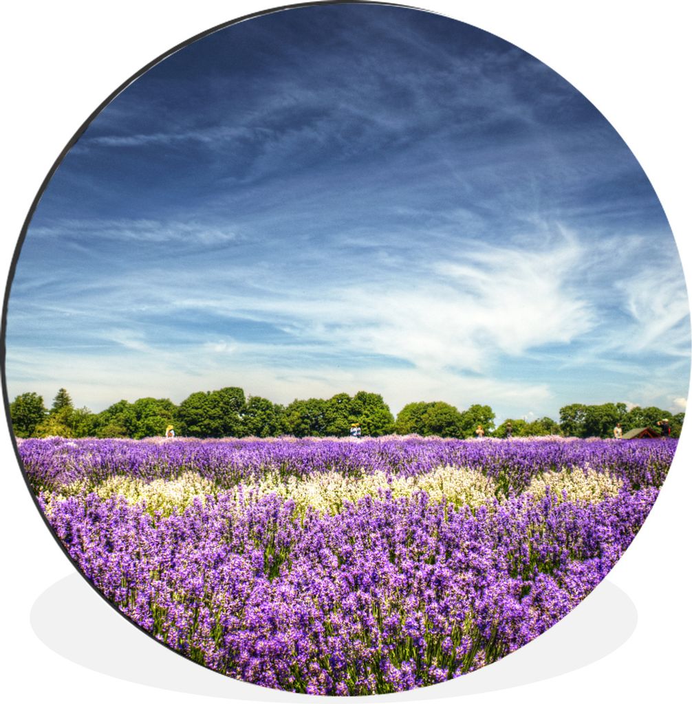 MuchoWow Aluminium Wandkreis Lila und weiß blühender Lavendel auf einem Feld Ø 30 cm Wanddeko Modern Wohnzimmer - Wand Bild - Wohnzimmer - Run...