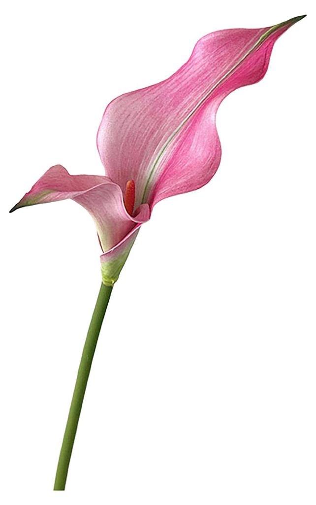 Künstliche Calla-Lilie, realistische künstliche Blume, Stiel, Dekoration für Zuhause, Büro, Hochzeit, Party, drinnen und draußen, künstliche ...