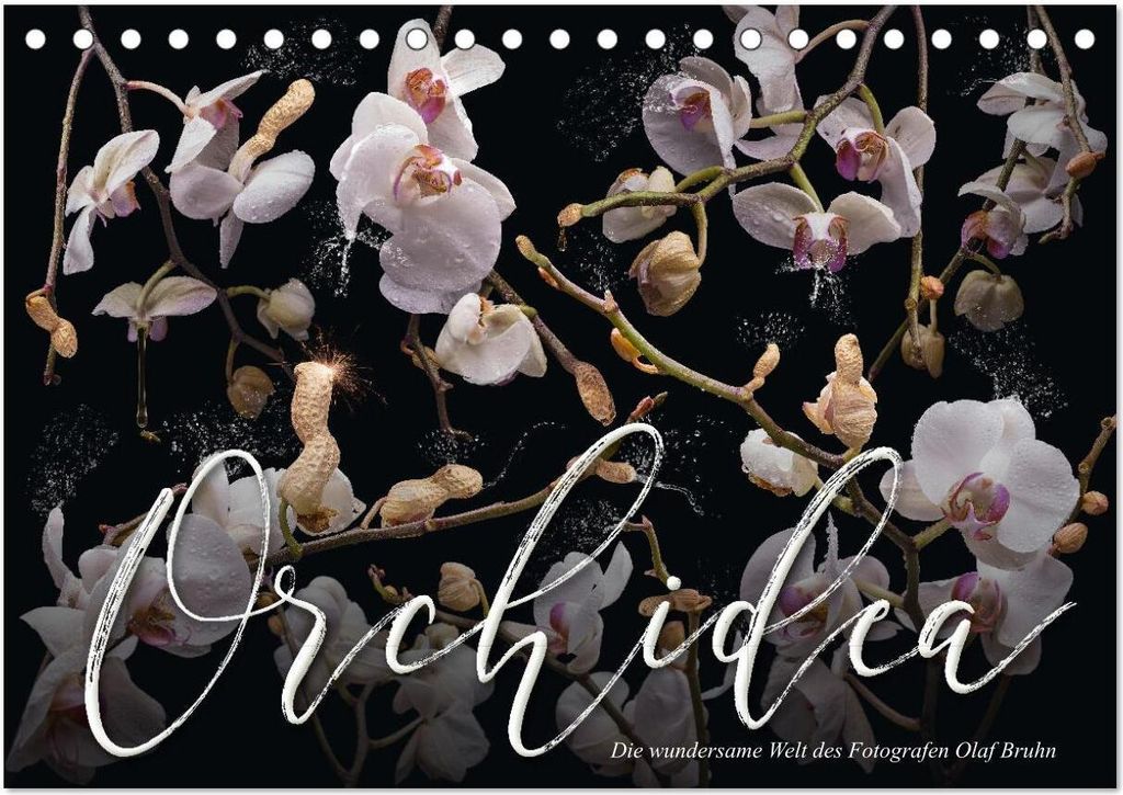 Orchidea (Tischkalender 2026 DIN A5 quer), CALVENDO Monatskalender