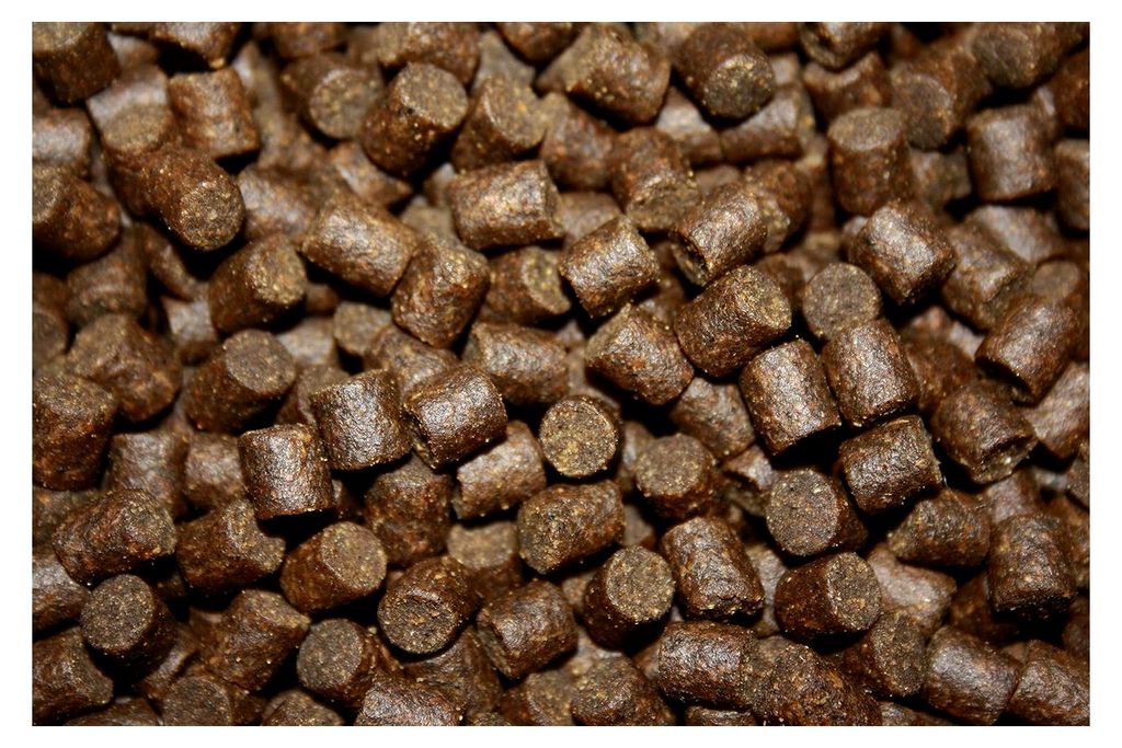 Störsinkfutter 6mm 5kg, Premium Futter für Störe, Aufzuchtfutter, hochverdaulich, arktische Rohstoffe