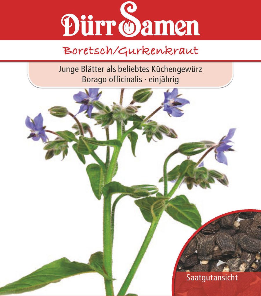 Boretsch | Boretschsamen von Dürr Samen Produktbild 