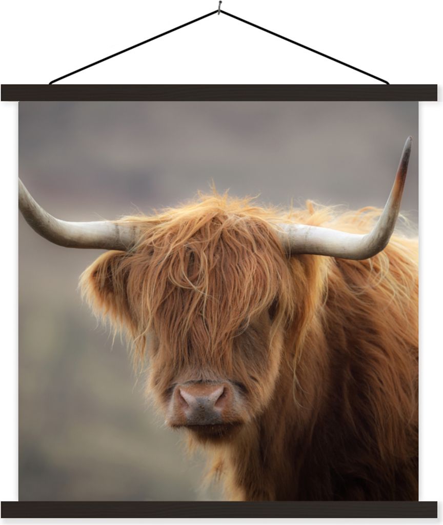 MuchoWow Textilposter Schottisches Hochlandrind - Licht - Porträt 120x120 cm mit schwarzem Rahmen - Aufhängungsset