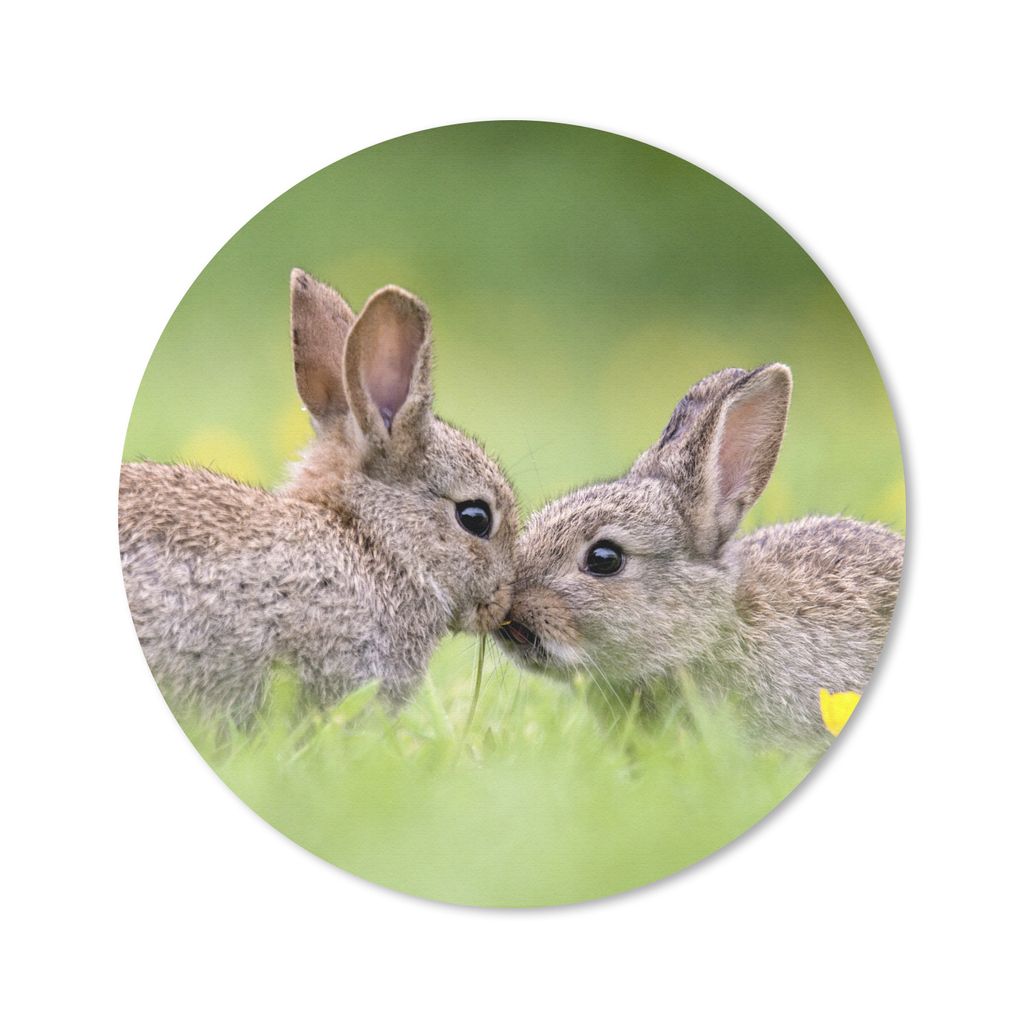MuchoWow Mauspad Mousepad Kaninchen - Baby - Gras 30x30 cm - Mousepads - Maus Mat - Pad - Mausunterlage - Tischunterlage - Schreibtischmatten