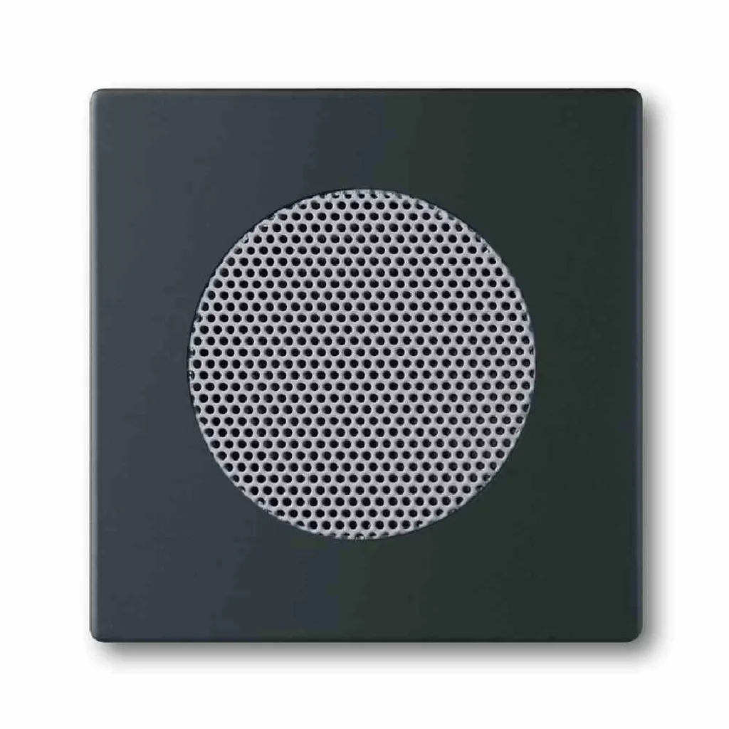 Disque Central Busch-Jaeger Solo Antistatique pour Diffusion Audio HD