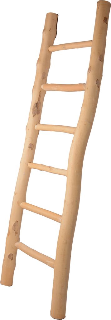 UNUS Deko-Leiter Handtuchleiter aus Holz stehend 150 cm in natur