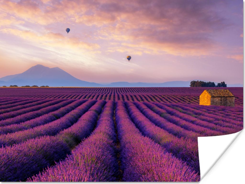 MuchoWow Poster Lavendel - Heißluftballon - Berg - Lila 80x60 cm - Kunst für zu Hause
