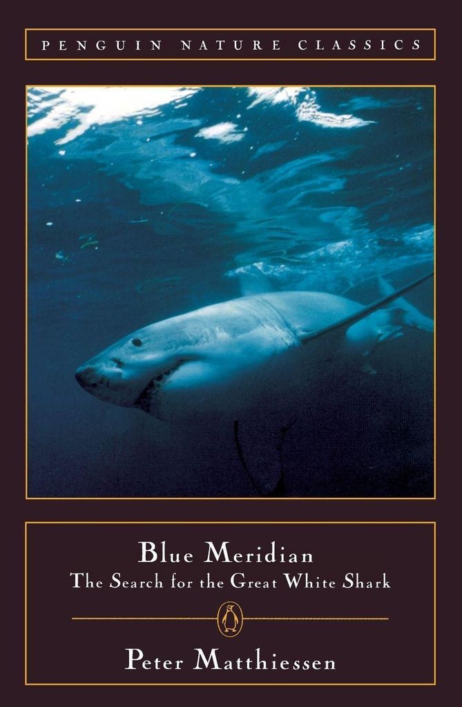 Blauer Meridian