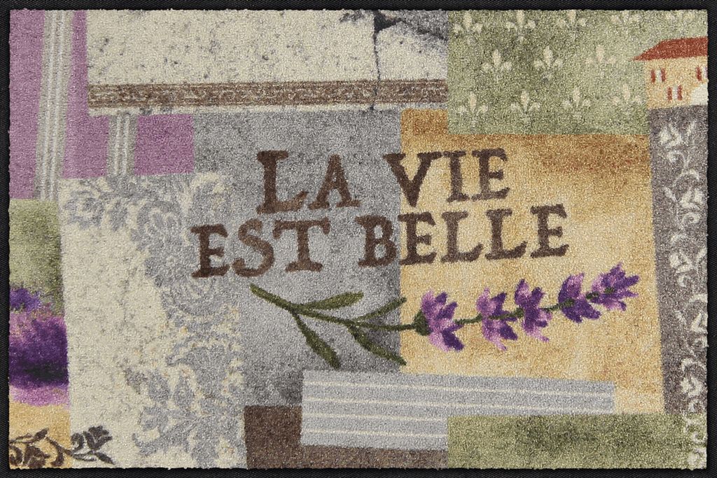 Salonloewe Fußmatte 50x75 cm La vie est belle