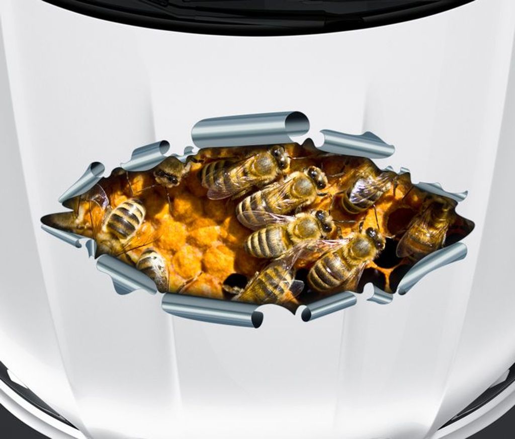 3D Autoaufkleber Tiere Motorhaube Bienen Kaufland.de