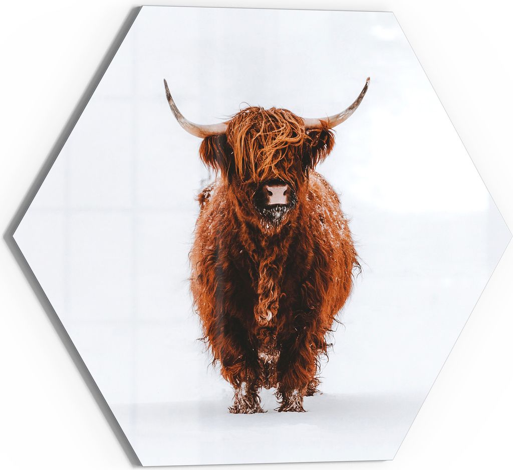 DEQOART Glasbild Echtglas 40x35 cm 'Wildes Hochland' Wandbild Bild modern Deko