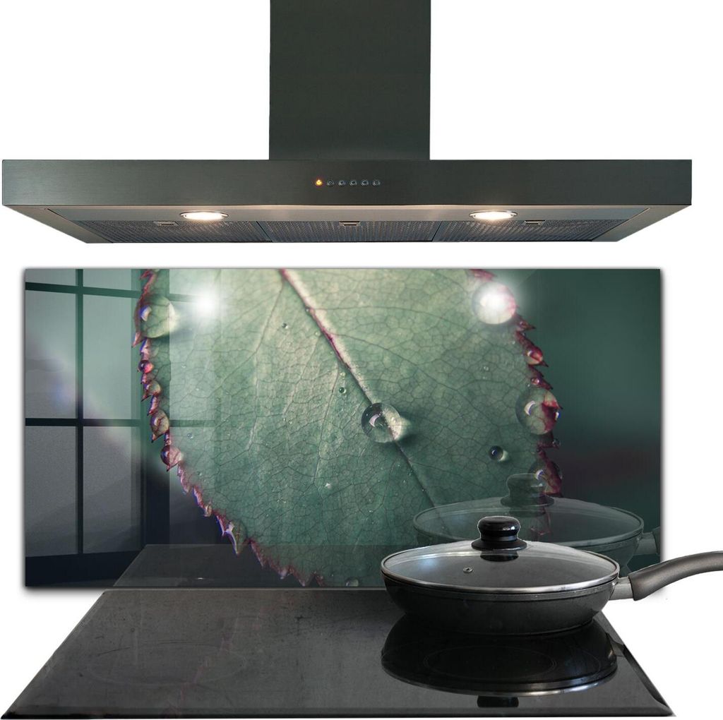 Spritzschutz aus Glas Küchenrückwand - Wandschutz für Herd und Spüle - 120x60 cm - Blatt mit Rosentropfen