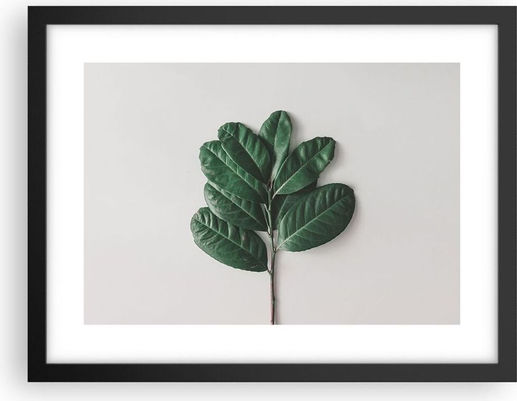Gerahmtes Poster - Schwarzer Rahmen - Blätter Pflanzen Botanik - 40x30 cm - Wand Bild - Wanddeko - Wandbilder - Kunstposter - Wandposter - Bilderr...