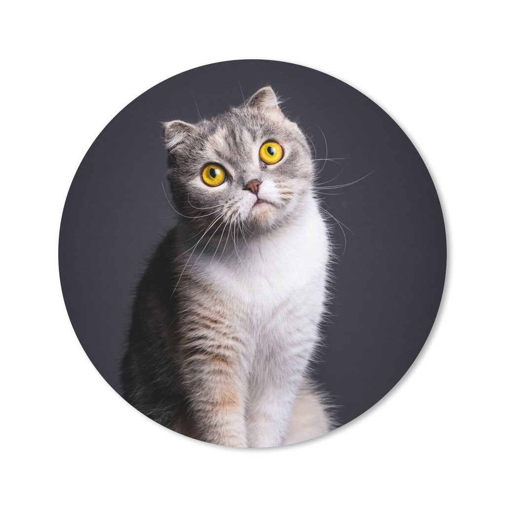 MuchoWow Mauspad Mousepad Katze - Augen - Licht 50x50 cm - Mousepads - Maus Mat - Pad - Mausunterlage