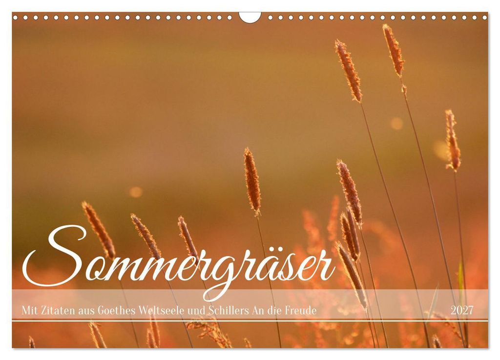 Sommergräser (Wandkalender 2027 DIN A3 quer), CALVENDO Monatskalender