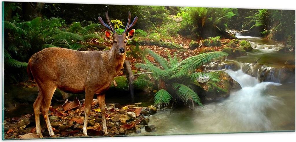 Bilder auf glas - Herbst berg strom landschaft - 100x40cm - Glasbilder - Wandbilder - Kunstdruck - zum Aufhängen bereit - Wanddekoration aus Glas ...