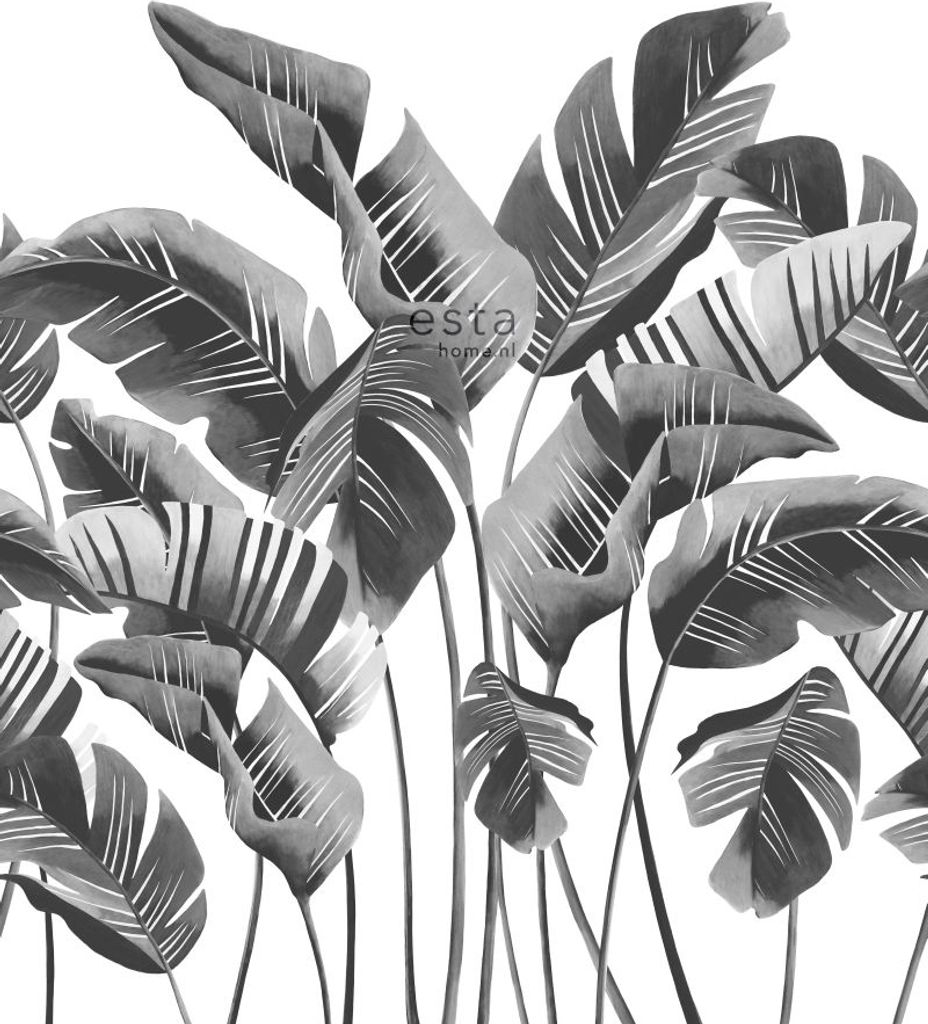 ESTAhome Fototapete große Bananenblätter Schwarz-Weiß 200 x 279 cm