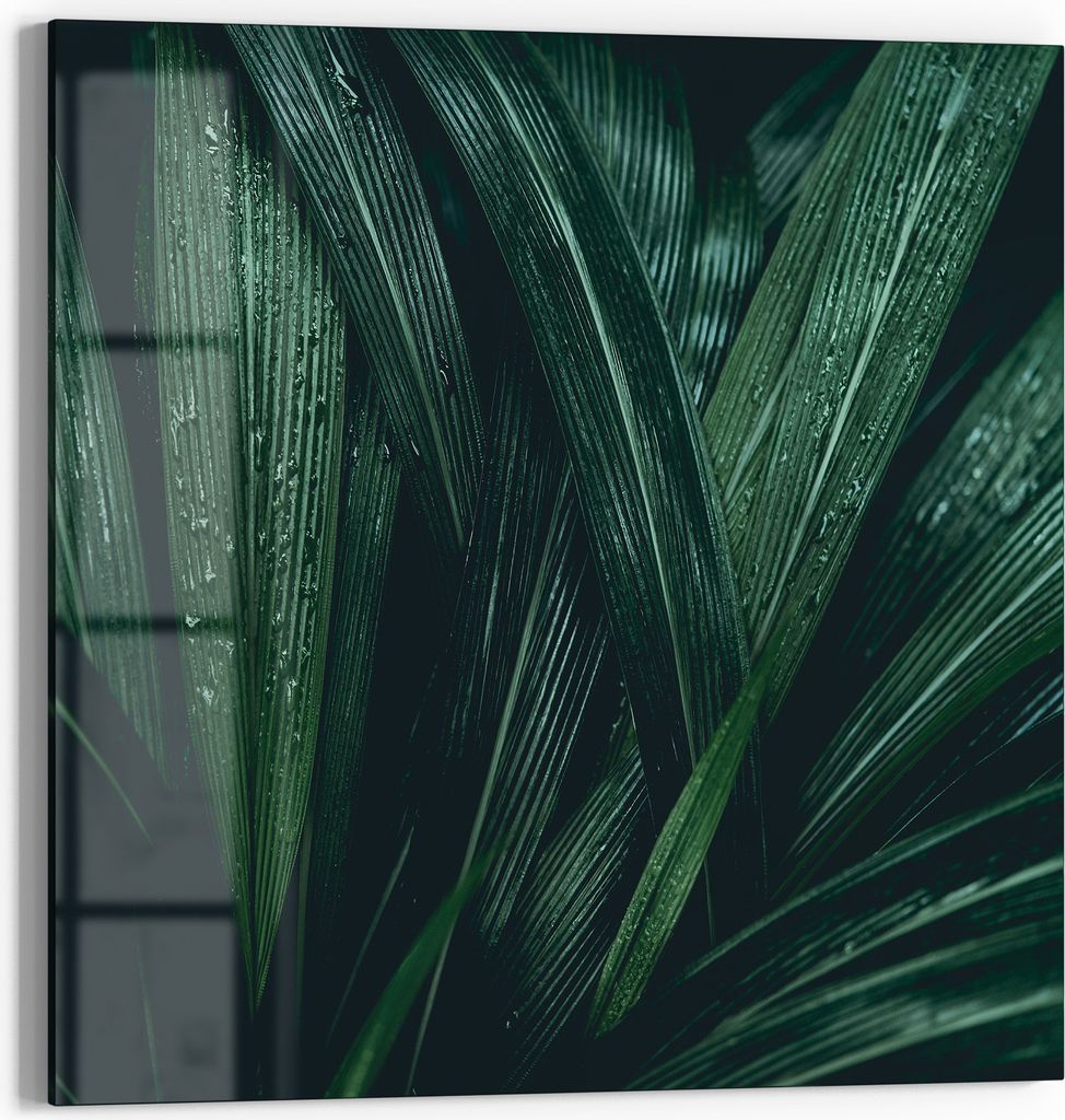 DEQORI Glasbild Echtglas 50x50 cm 'Tropisches Flüstern' Wandbild Bild modern Deko