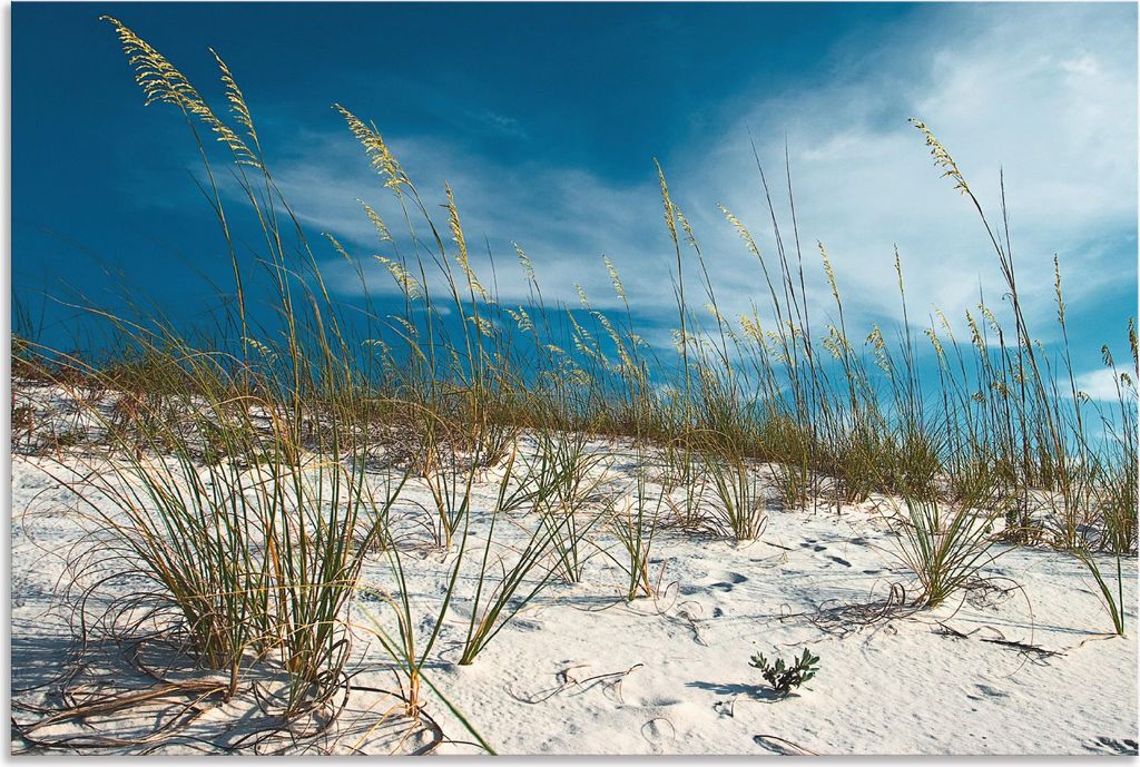 ARTland Wandbild Alu für Innen & Outdoor Sanddüne und Gräser Größe: 60x40 cm
