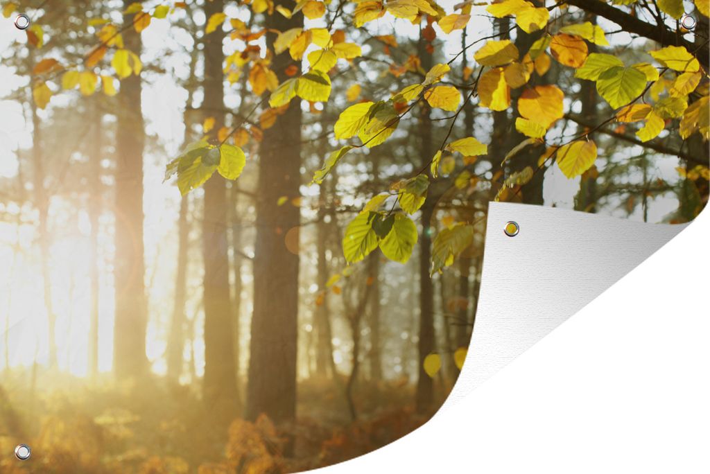 MuchoWow 90x60 cm Outdoor-Poster Gartendeko Sichtschutz Garten Poster für den Garten Sonne - Licht - Blätter