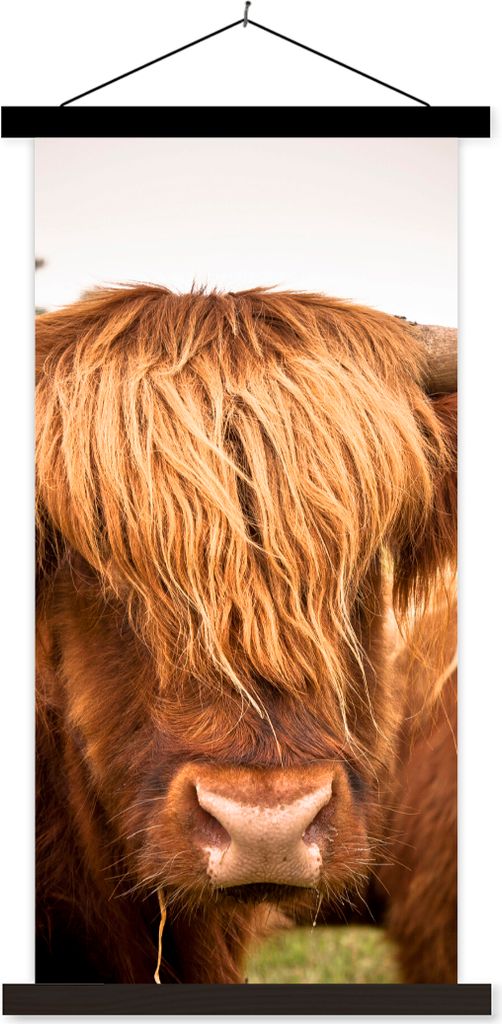 MuchoWow Textilposter Schottische Hochlandrind - Braun - Gras 40x80 cm mit schwarzem Rahmen - Wandemalerei