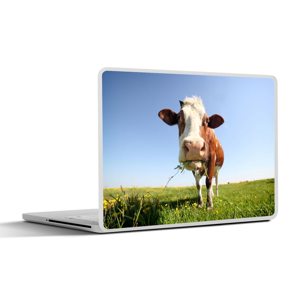 MuchoWow Laptop Aufkleber Sticker Cover Kuh - Tiere - Blumen - Gras 25x18 cm - Laptop-Deko