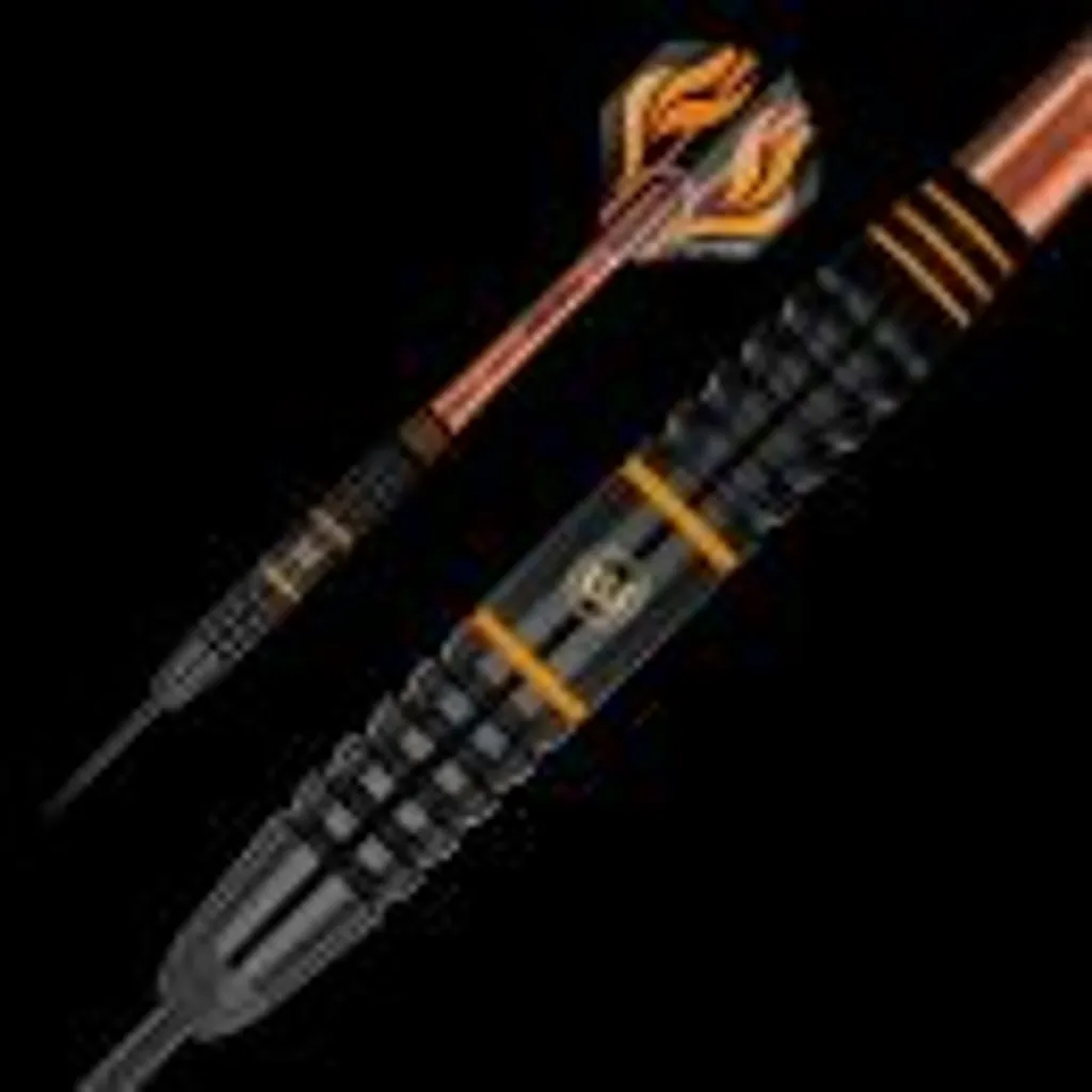 Fléchettes Winmau Scott Waites Conversion Set 18g pour cibles souples