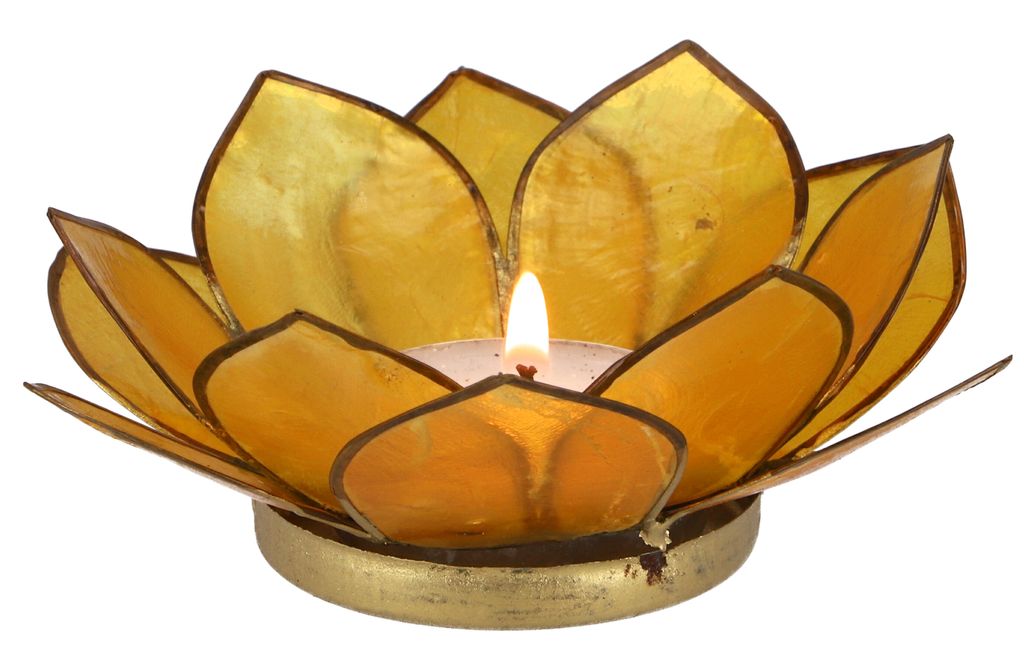 Lotus Teelicht Muschel 11*4 cm - Goldgelb, Muschelscheiben,Metall, Teelichthalter & Kerzenhalter